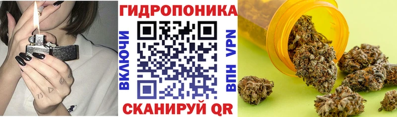 Канабис White Widow  Купить закладки  Муром 